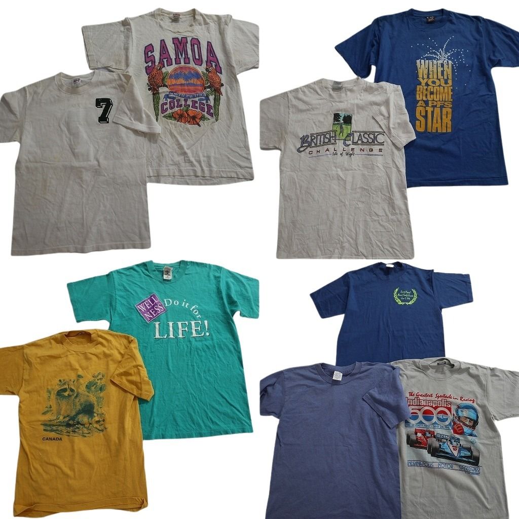 古着卸 まとめ売り シングル Tシャツ 9枚セット ( メンズ M ) ジャージーズ フルーツオブザルーム レーシング 中古 古着 NE6689