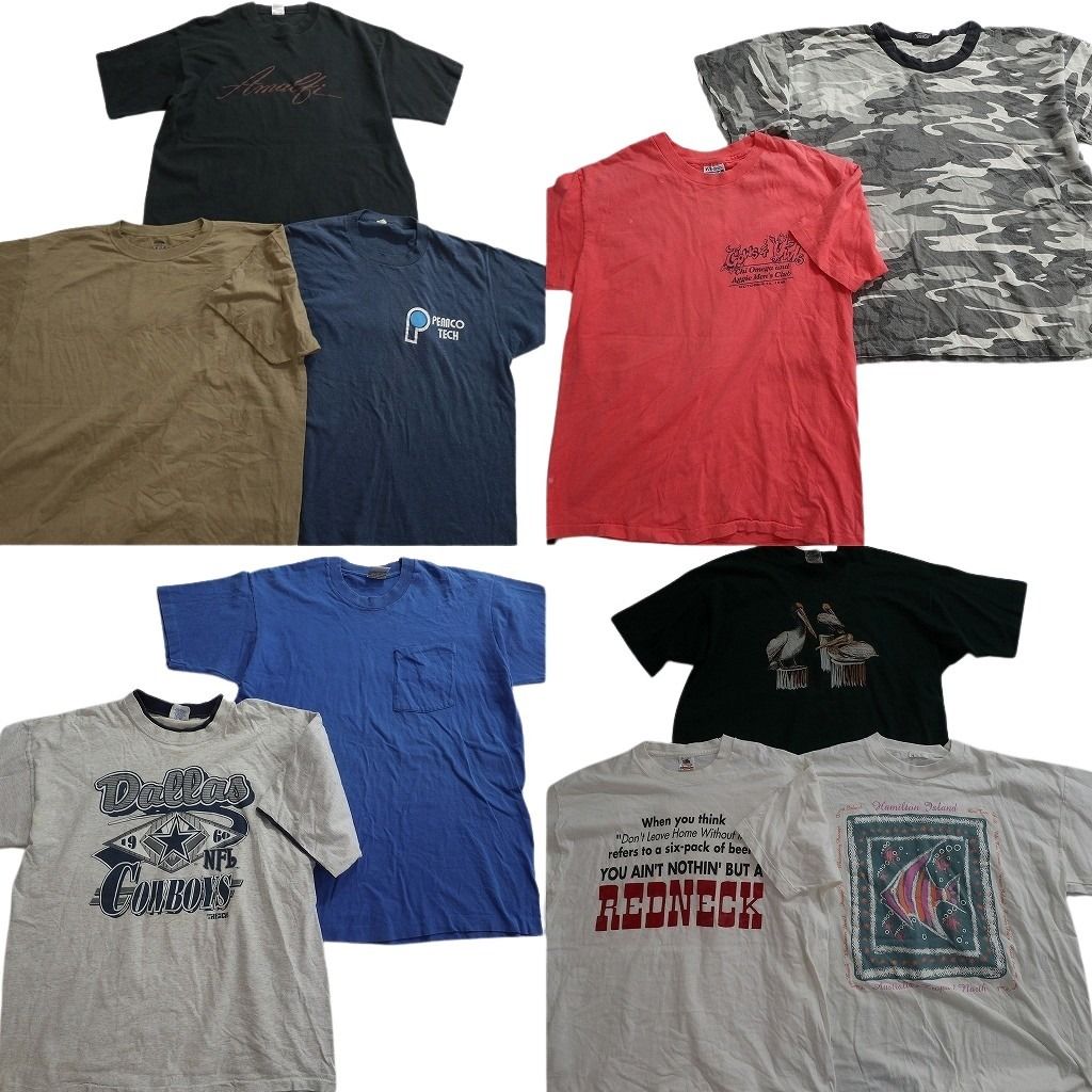 古着卸 まとめ売り シングル Tシャツ 10枚セット ( メンズ XL ) アニマル 動物 プロチーム NFL カウボーイズ 中古 古着 NE6694