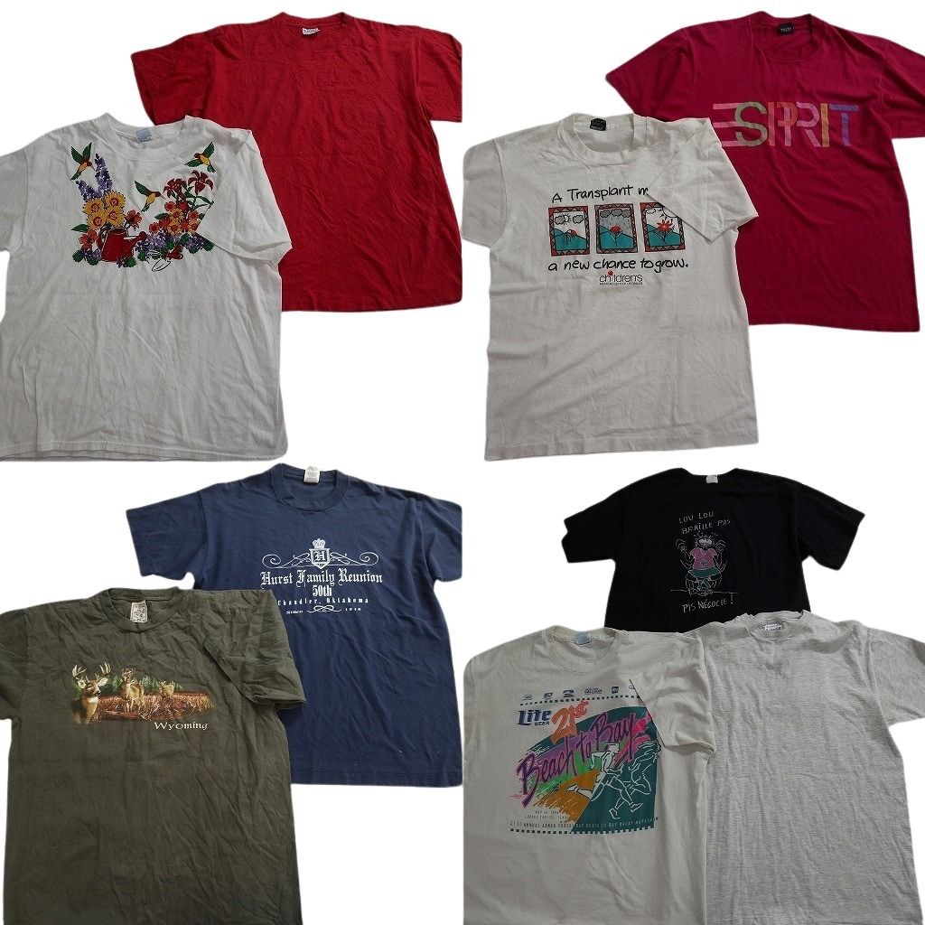 古着卸 まとめ売り シングル Tシャツ 9枚セット ( メンズ L/XL ) フルーツオブザルーム ヘインズ アニマル 動物 中古 古着 NE6698