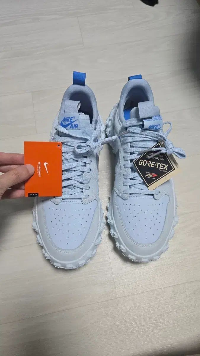 NIKE ナイキ エア ジョーダン1 ジョーダン1 エレメント エル ロー ゴアテックス GORE-TEX AT 280mm 出品