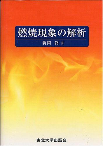 燃焼現象の解析 新岡 嵩