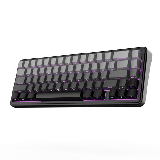 EPOMAKERxAULAF6565%ワイヤレスメカニカルキーボードホットスワップ対応ガスケットカスタムゲーミングキーボード5層パッドRGBバックライトBluetooth/2.4GHz/USB-C潤滑済みリニアスイッチ搭載技適認…