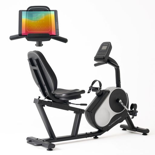 アルインコ(ALINCO)フィットネスバイクリカンベントバイク大型背もたれ 