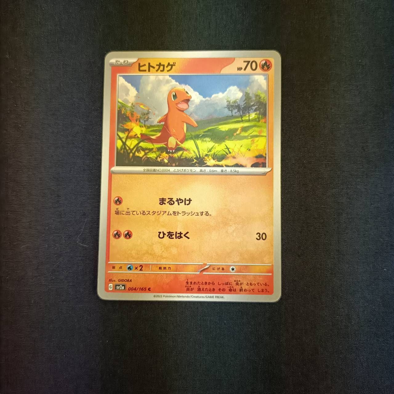 P100(ほのお) ポケモンカード ヒトカゲ① 100枚 まとめ売り pokemon 