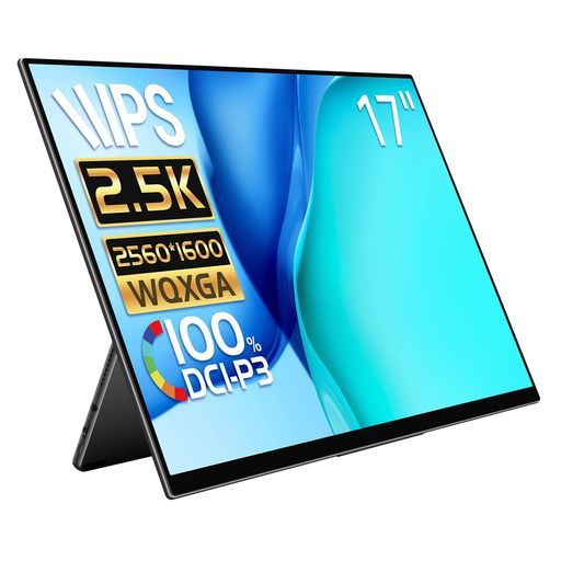モバイルモニターEHOMEWEI2.5K17インチWQXGA2560x1600100%DCI-P3薄型5mmゲーミングモニタースピーカー内蔵ブルーライトカットケース付タッチパネル非対応RQ-170NW