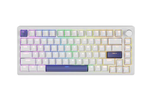 DrunkDeerA75ラピッドトリガーキーボードメカニカル82キーPBTキーキャップホワイトOEMプロファイルダブルショットカスタムゲーミングキーキャップ