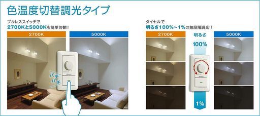 大光電機(DAIKO)調色スポットライトLED8W電球色2700K昼白色5000KDSL-4716FWG