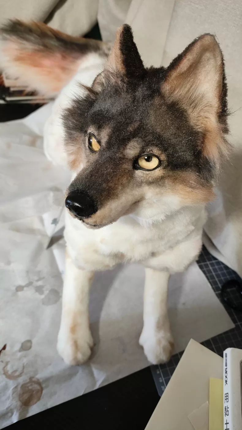 訳あり 狼 アートドール 可動口 ドール本体 ハンドメイド 動物フィギュア 現品