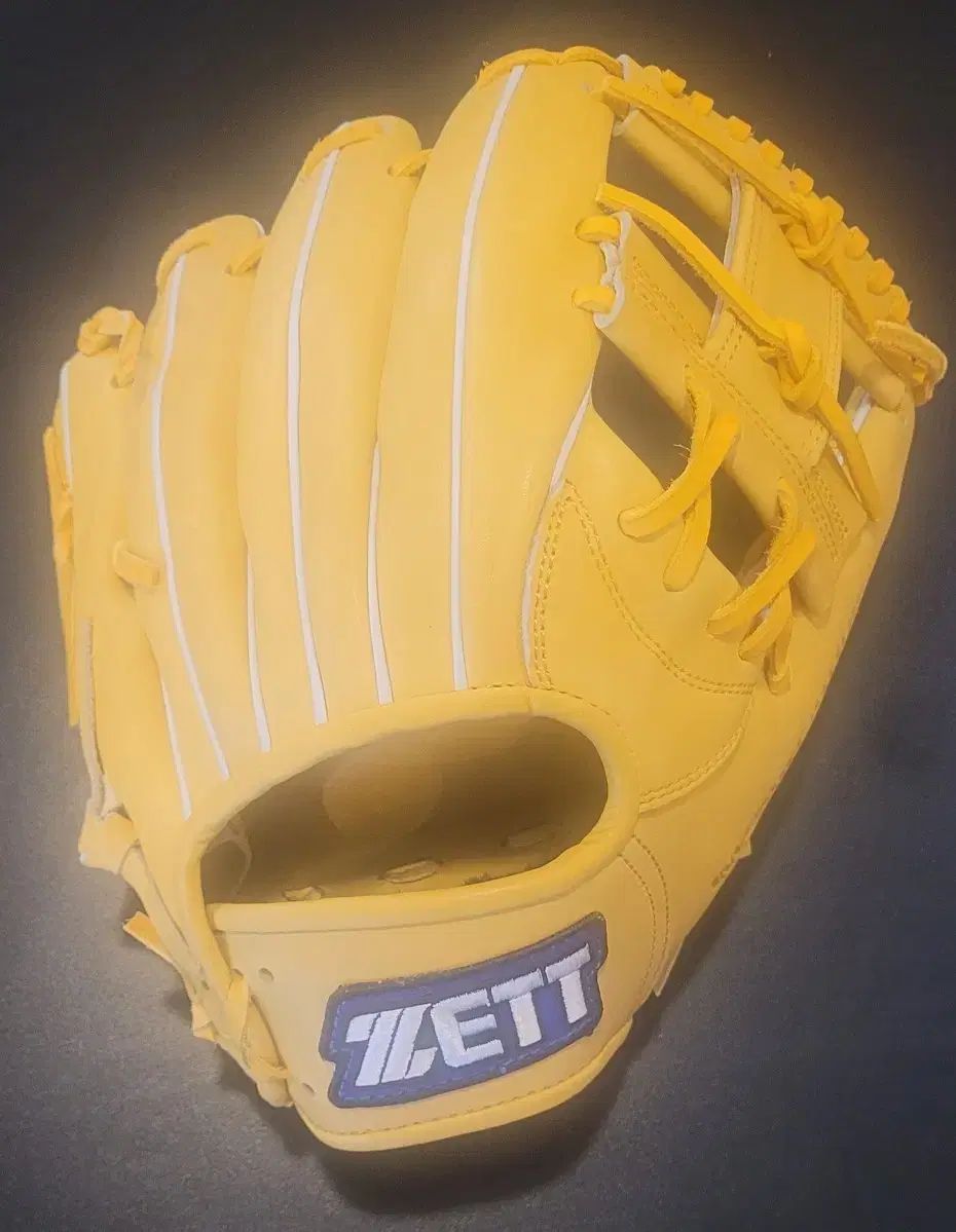 ZETT 内野用 アイウェブ PRO モデル 靴 出品