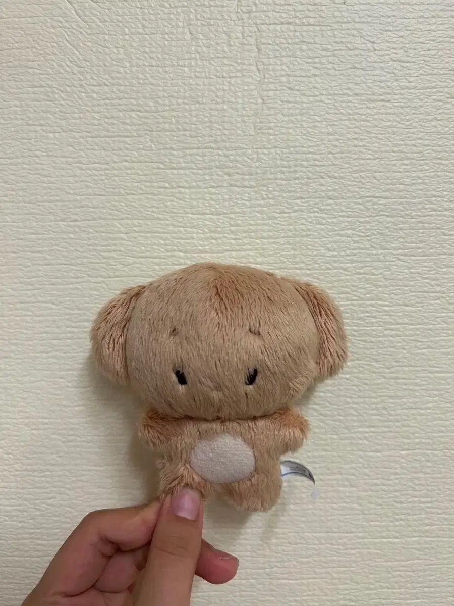 ぬい九井 一 出品