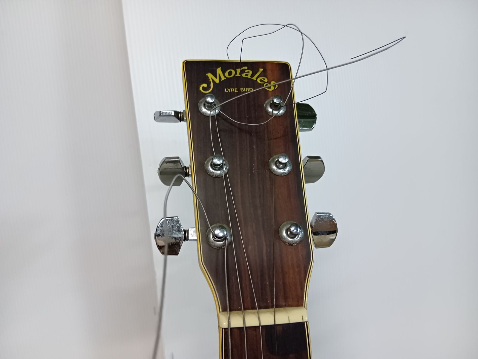 Morales（モラレス）LYRE BIRD アコースティックギター 現状品 弦楽器_