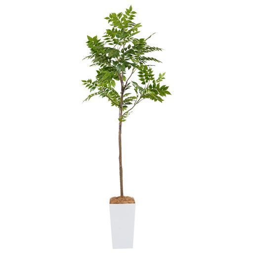 ボタニカルライフプラス(Botanicallife+)光触媒インテリアグリーンシマトネリコ200cm造花Kシリーズ