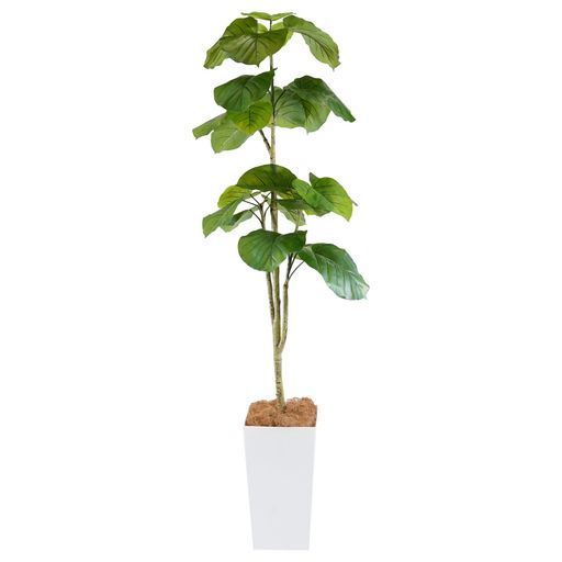 ボタニカルライフプラス(Botanicallife+)光触媒インテリアグリーンウンベラータ造花Kシリーズ160cm
