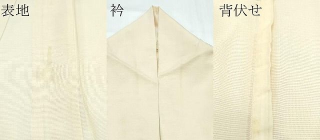 平和屋着物＊夏物　訪問着　絽　手描き　鴨　正絹　逸品　CABF4578rv