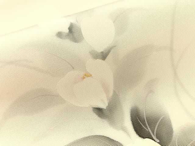 平和屋着物●塩瀬　九寸名古屋帯　作家物　手描き　草花文　金彩　逸品　CABG1624vp