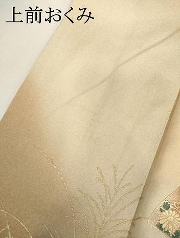 平和屋着物●訪問着　扇面枝葉文　暈し染め　金銀彩　ロング丈　正絹　逸品　AABI2557cs