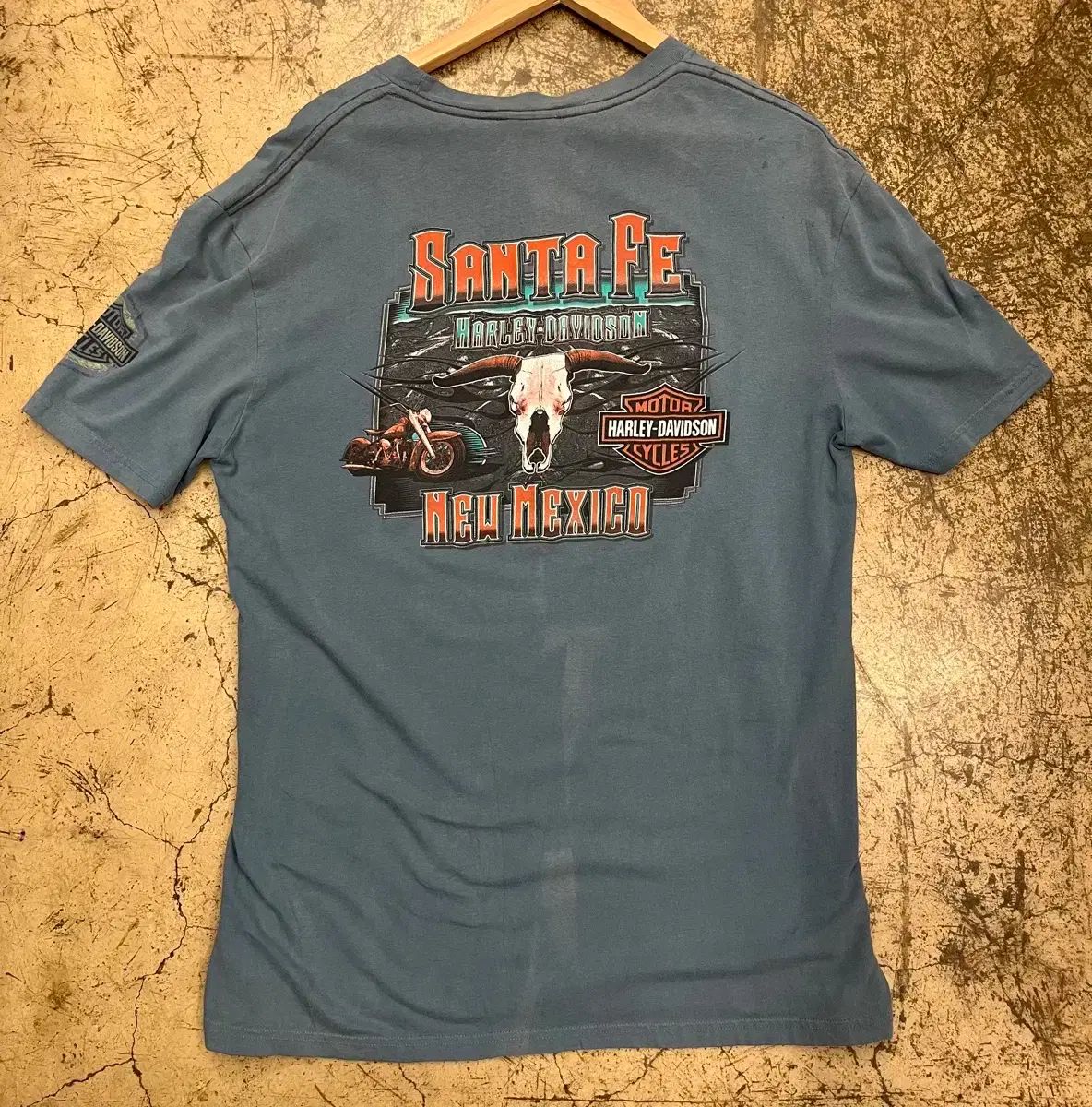 10s ハーレーダビッドソン 半袖Tシャツ