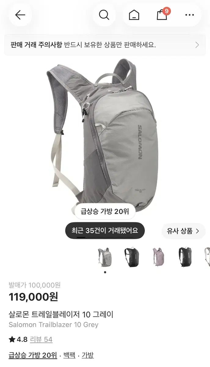 SALOMON サロモン トレイルブレーザー 10 グレー バックパック