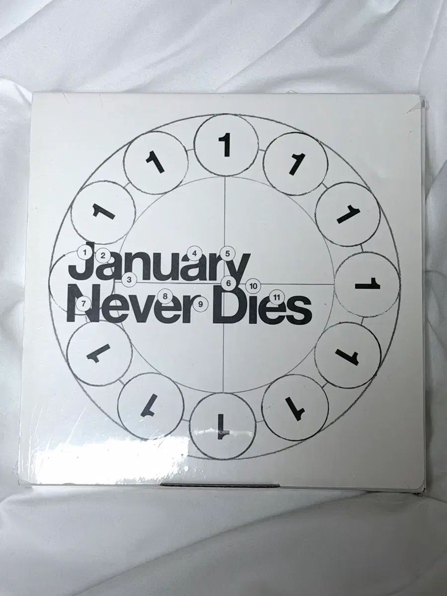 未開封 ベイミングタイガー January Never Die サン・ブッダ アルバム
