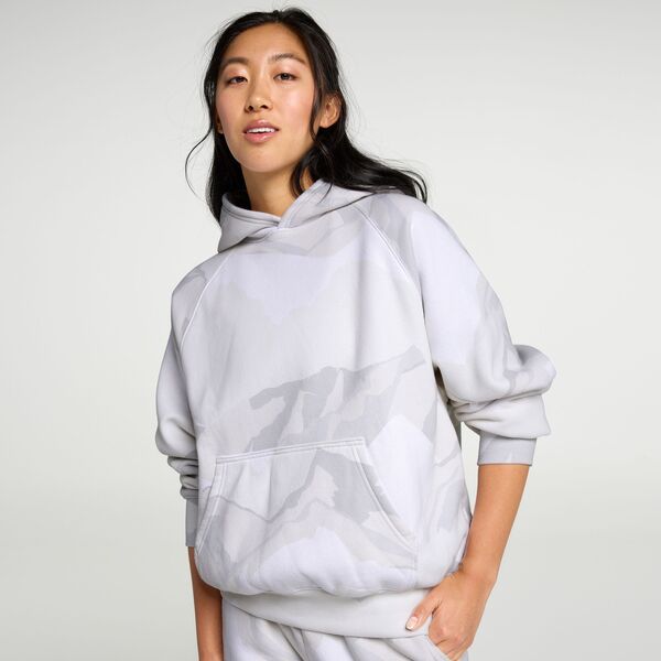 DSG レディース アウター パーカー・スウェット フリース DSG Womens Classic Fleece Hoodie Slope Sceneutral