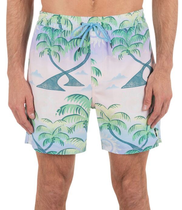 ハーレー メンズ 水着 ハーフパンツ・ショーツ Hurley Mens Cannonball Volley Candy Pink ピンク