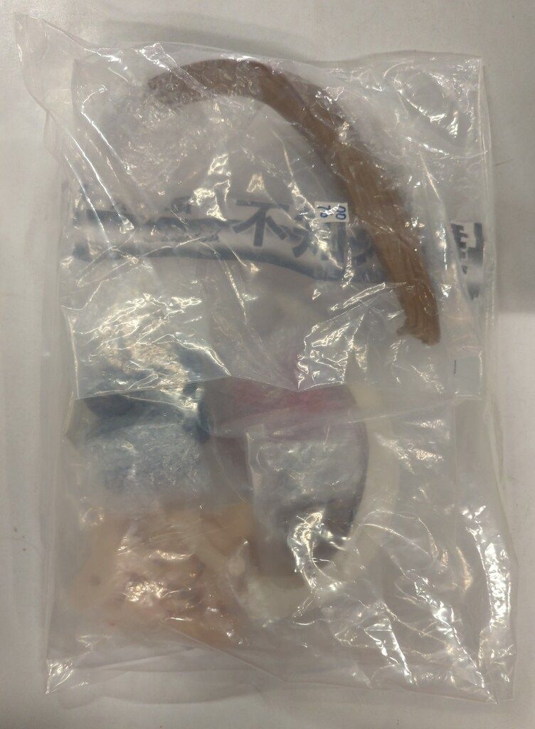 水着天国 レジンキャストキット 餓狼伝説 不知火舞