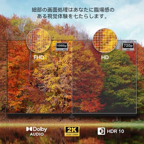 ☆新品☆FPD チューナーレス テレビ 43インチ, 1080P FHD HDR10 Google TV 壁掛け LED 液晶 Bluetooth スマート43V型 TVs, Wifi, HDMI, ネット動画対応, VESA規格, Cast 36f6ed94