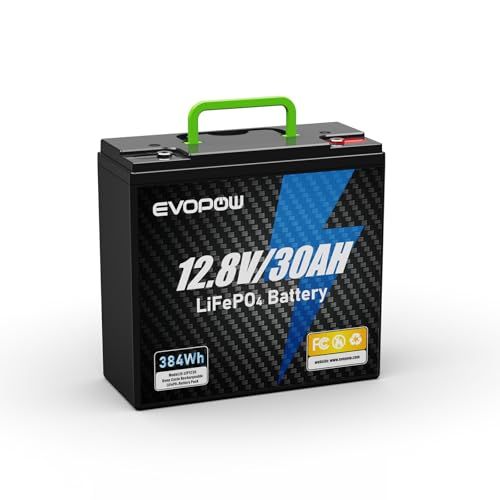 384Wh リン酸鉄リチウムイオンバッテリー 480W出力 12.8V 30Ah 蓄電池 LiFePO4採用 10年長寿命 30AのBMS 3000サイクル回数以上 小型軽量 RV サブバッテリー ソ-ラ-蓄電 車中泊 オフグリッド自家発電 72cd718a