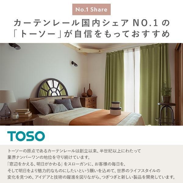 カーテンレール ダブルセット (正面付) 1.2m ダークグレー Aキャップ 日本製 設置簡単 取付簡単 生活雑貨 インテリア雑貨