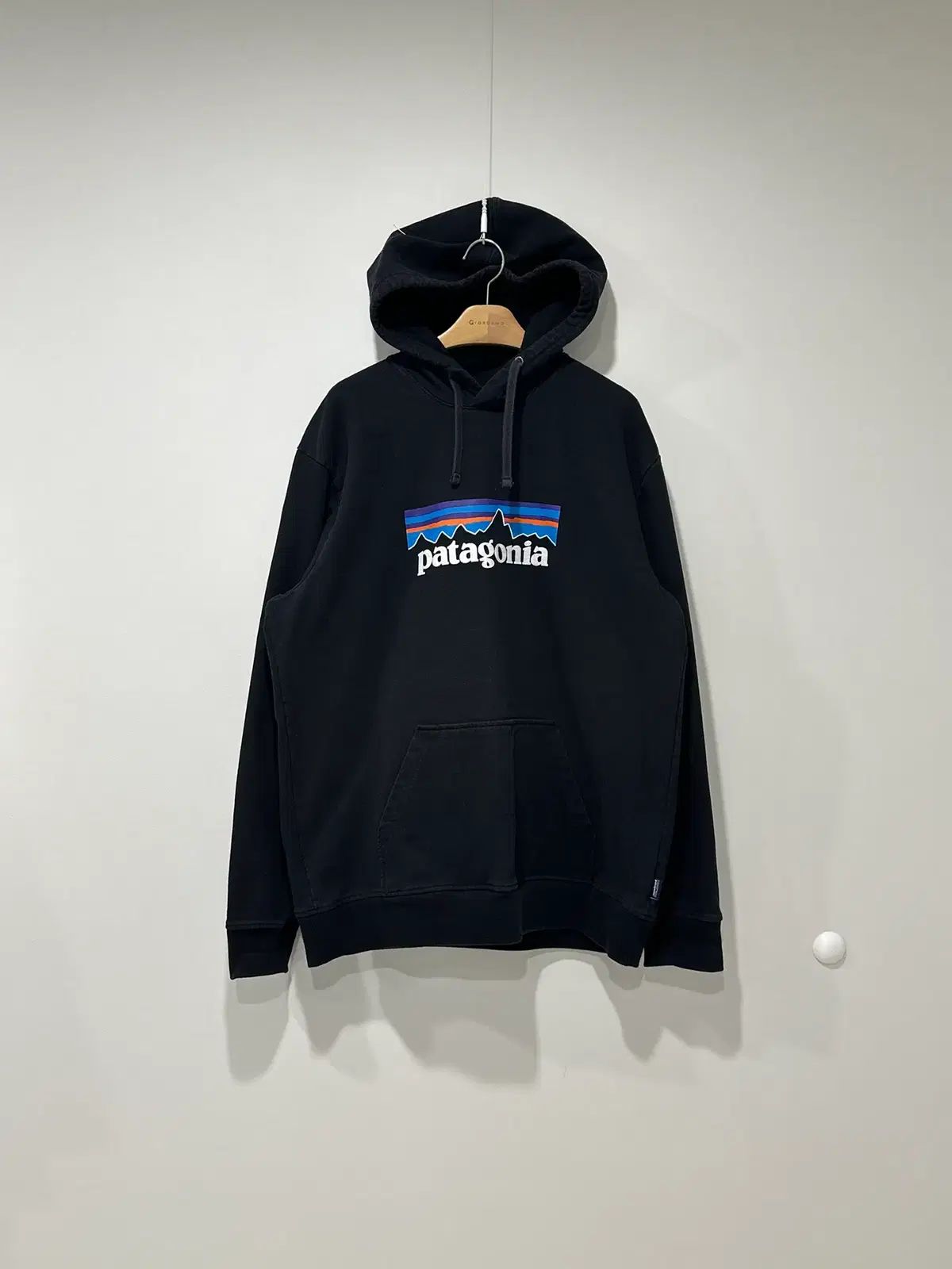パタゴニア patagonia フードTシャツ