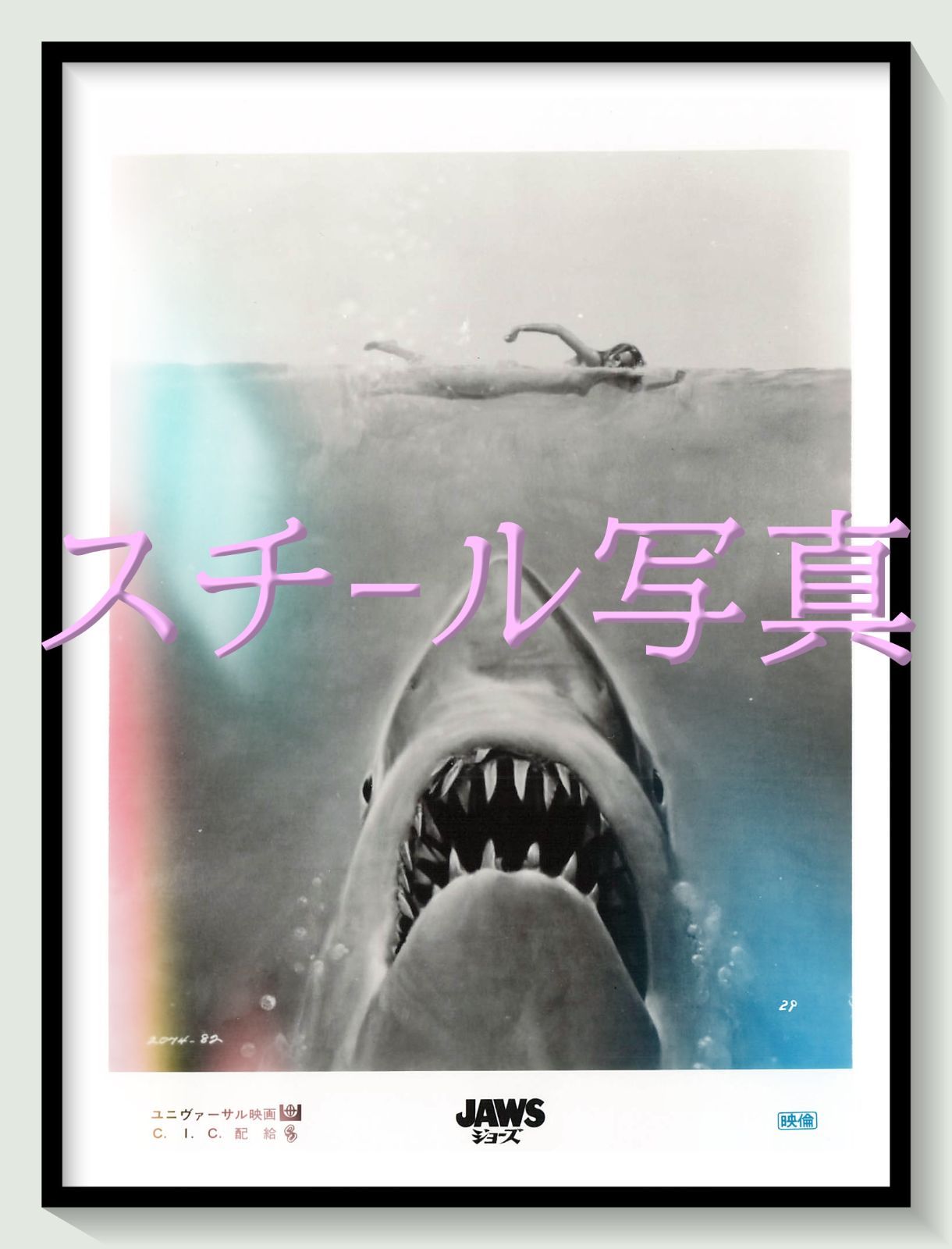 t『ＪＡＷＳ／ジョーズ』1975年映画オリジナルスチール写真　pt001420　スティーヴン・スピルバーグ ピーター・ベンチリー ジョン・ウィリアムズ ロイ・シャイダー リチャード・ドレイファス