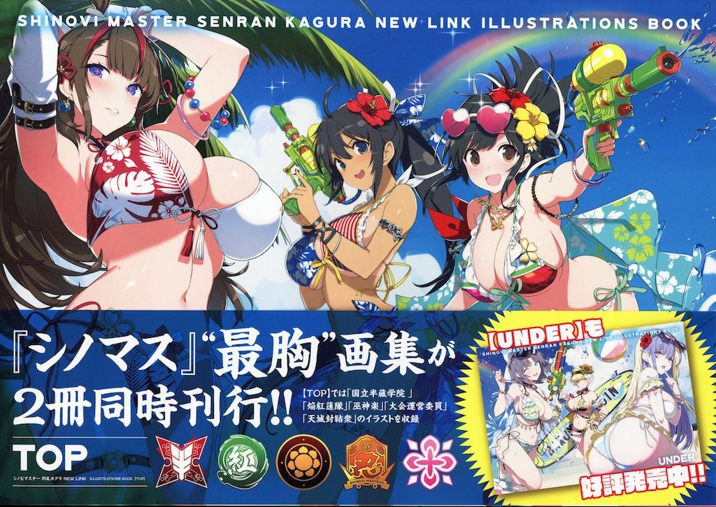 シノビマスター 閃乱カグラ NEW LINK ILLUSTRATIONS BOOK TOP (帯付)