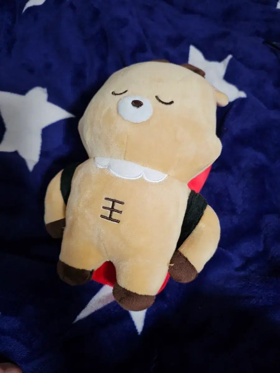 RIIZE（ライズ） ライスシ 日本 ポップアップ ウ락밤 ソンチャン(SUNGCHAN) 未開封