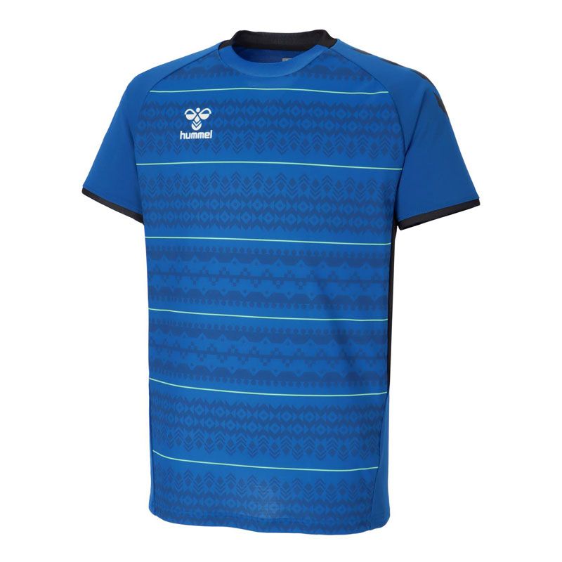 サイズL、hummel(ヒュンメル) PROプラクティスシャツ サッカー ウェア プラクティスシャツ HAP1231
