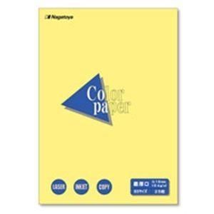 (業務用20セット)Nagatoya カラーペーパー/コピー用紙 〔B5/最厚口 25枚〕 両面印刷対応 クリーム