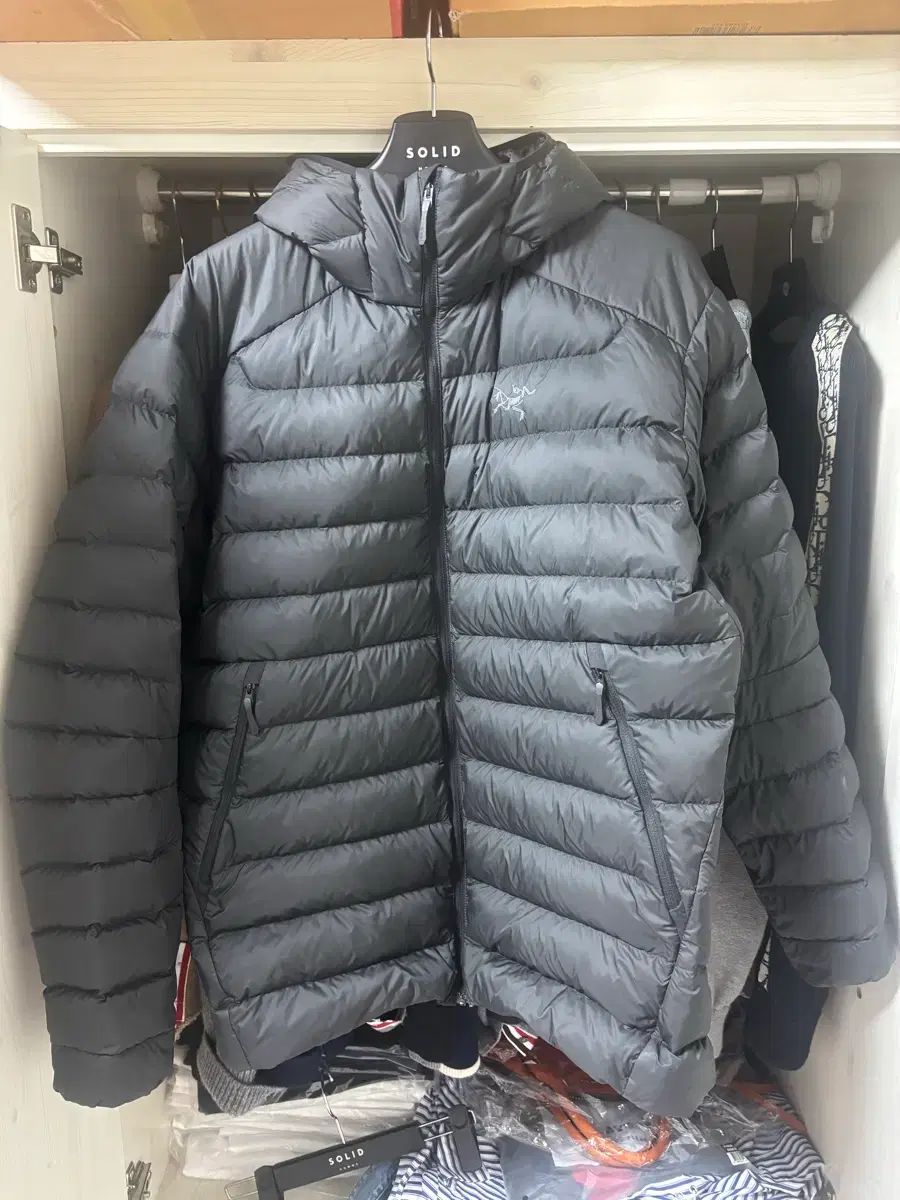 新品級 ARC'TERYX Cerium（アークテリクス セリウム） L