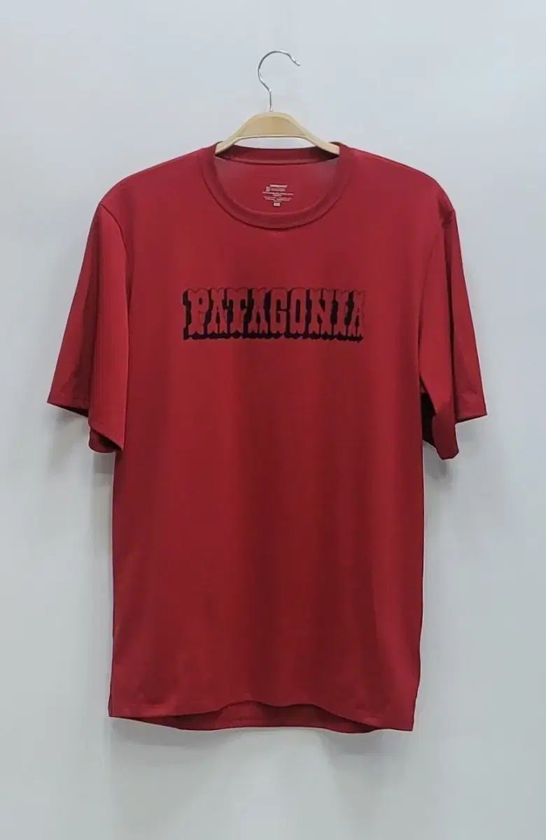 Patagonia パタゴニア グラフィック 半袖 Tシャツ / M L ラッド
