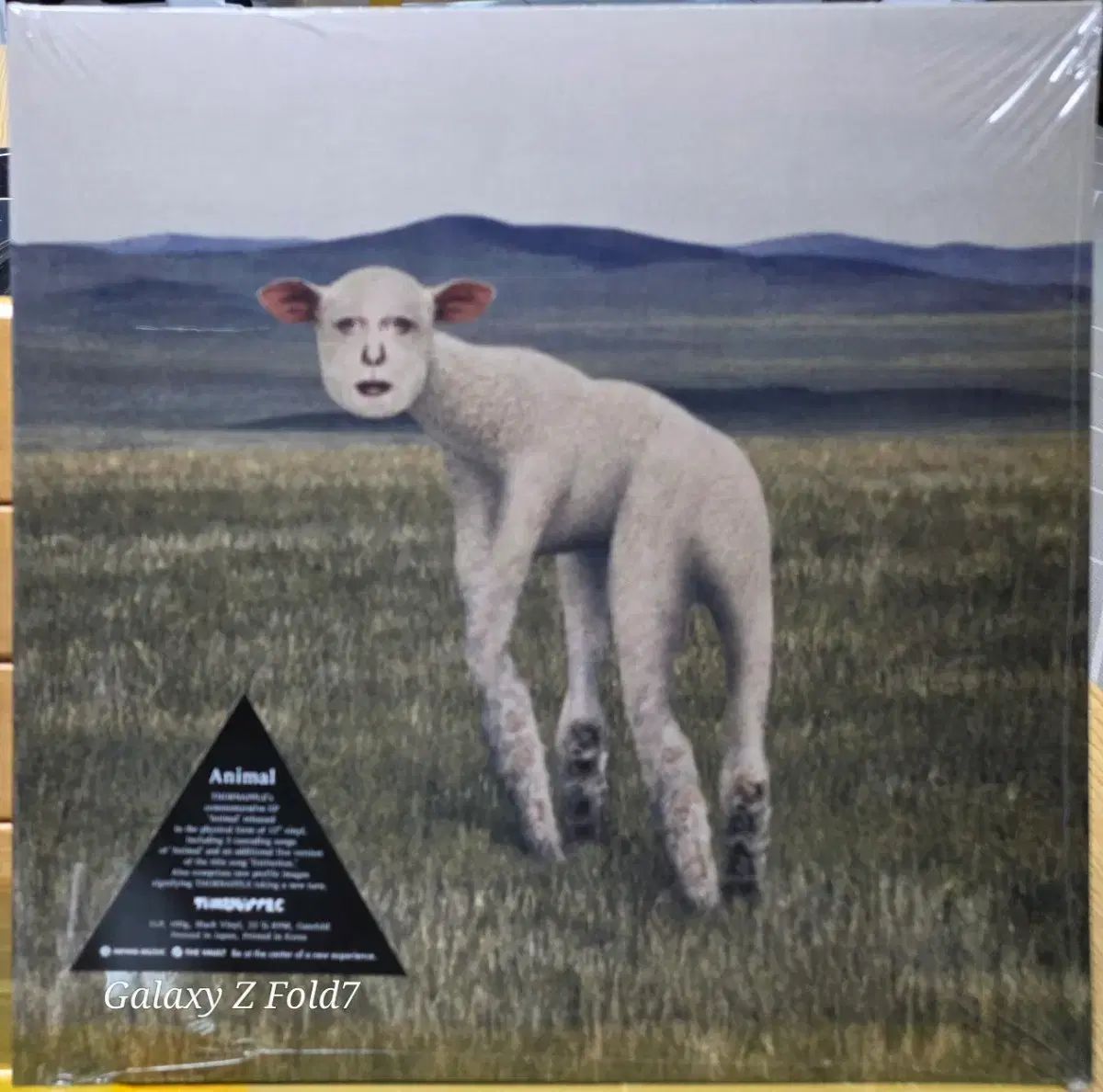BA ー 481 未開封 THIMORRIPFEC LP ヴァイナル ビニールレコード 記録