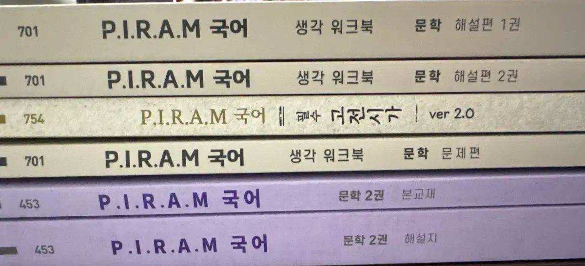 P.I.R.A.M 文学