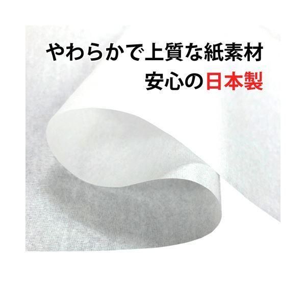 (まとめ)竹虎 フェルラック エプロン L ホワイト 076370 1箱(100枚)〔×5セット〕 (まとめ)竹虎 フェルラック エプロン L ホワイト 076370 1箱(100枚)〔×5セット〕