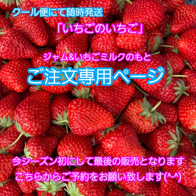 【いちごのいちご予約専用ページ】5月23日より随時発送！ジャム&いちごミルクのもと(^-^)