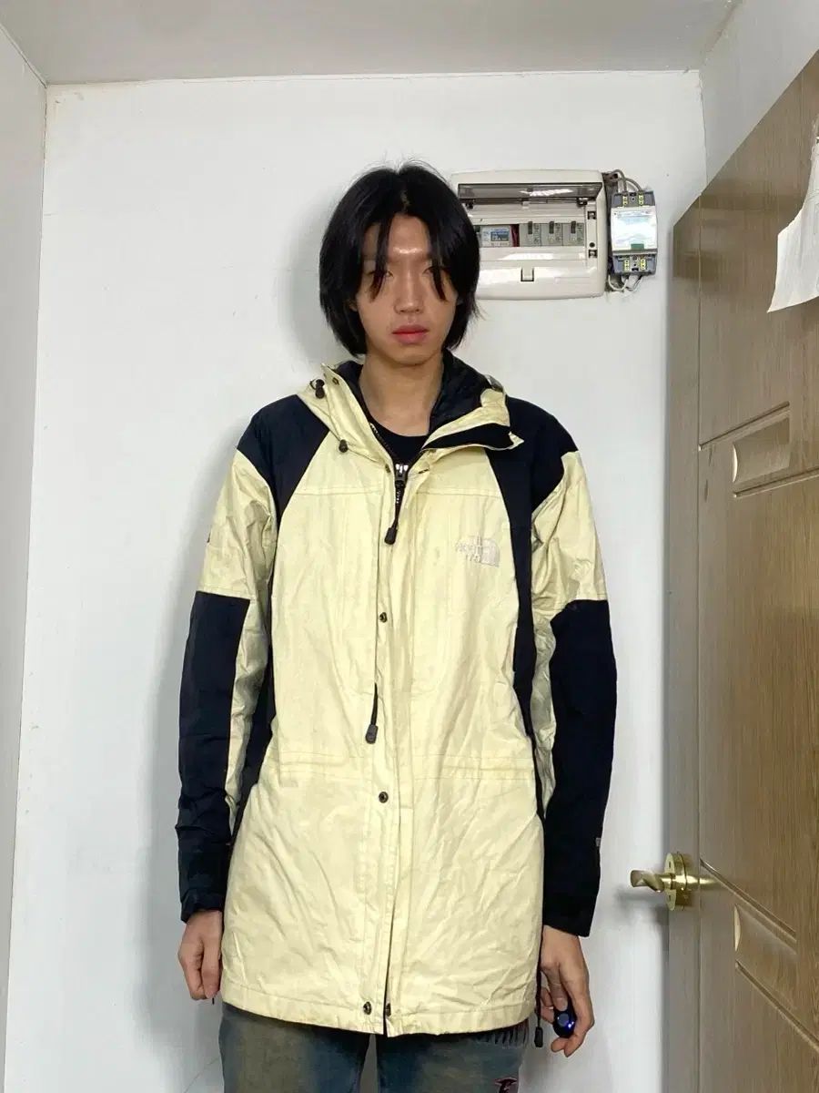 THE NORTH FACE 必須アイテム エアジョーダン1 ゴアテックス ウィンドブレーカー L