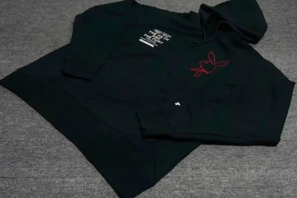 (XLARGE) NEIGHBORHOOD(ネイバーフッド) X PLAYBOY(プレイボーイ) 25周年 フーディー