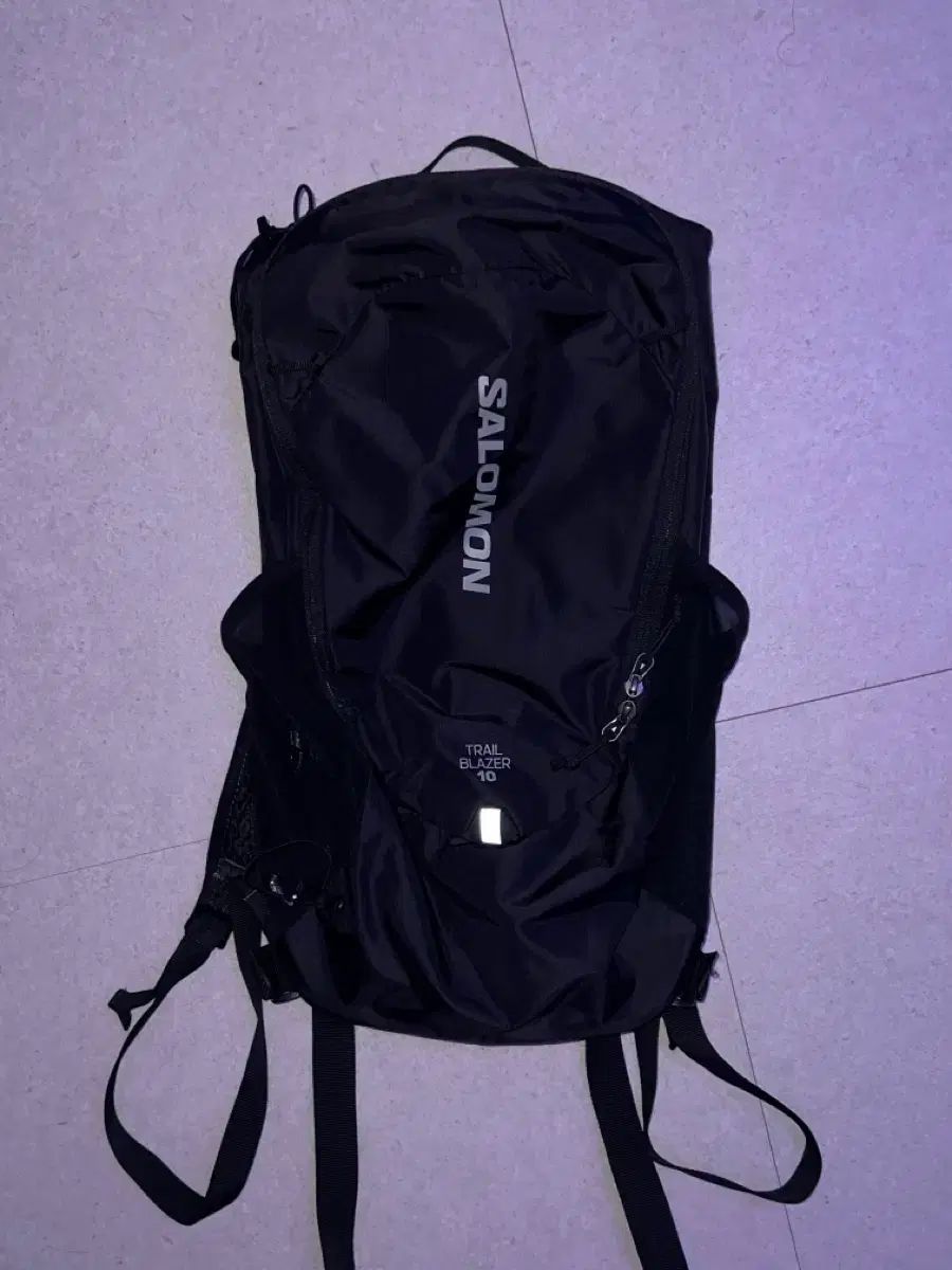 SALOMON サロモン トレイル ブレーザー 10L