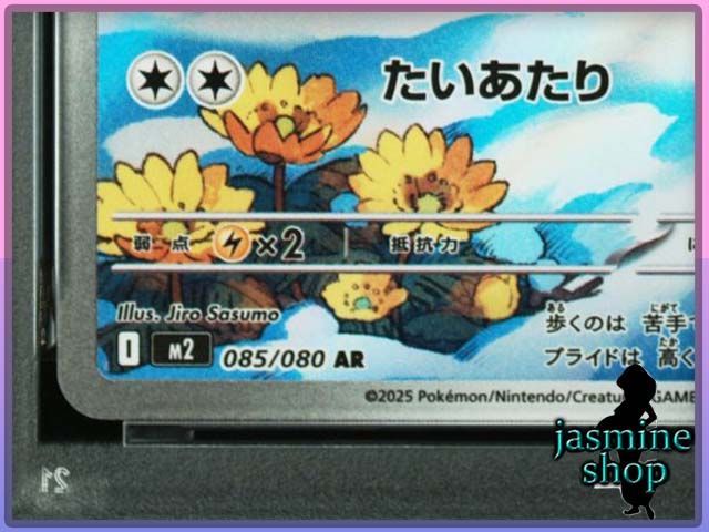 PSA10】ポッチャマ AR 085/080 インフェルノX PSAケース専用スリーブ