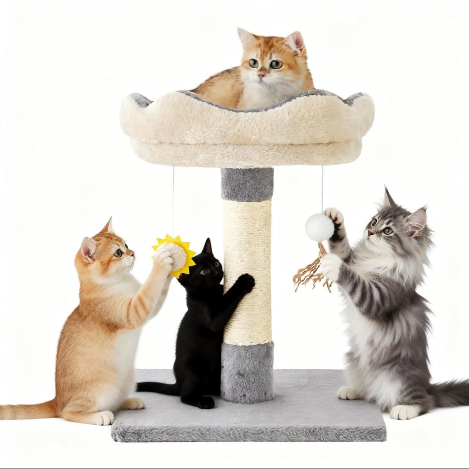 Gardner Pet 小型 キャットタワー 大型並みの豊富な機能を網羅 ミニ 猫タワー 小型 成猫から子猫まで全年齢対応 子猫適用 多頭飼い 爪研ぎポール 吊り下げ玩具付き 無垢材製ベース 取り外し可能なベッド付き 多機能ミニキャットツリー サイズ40x40