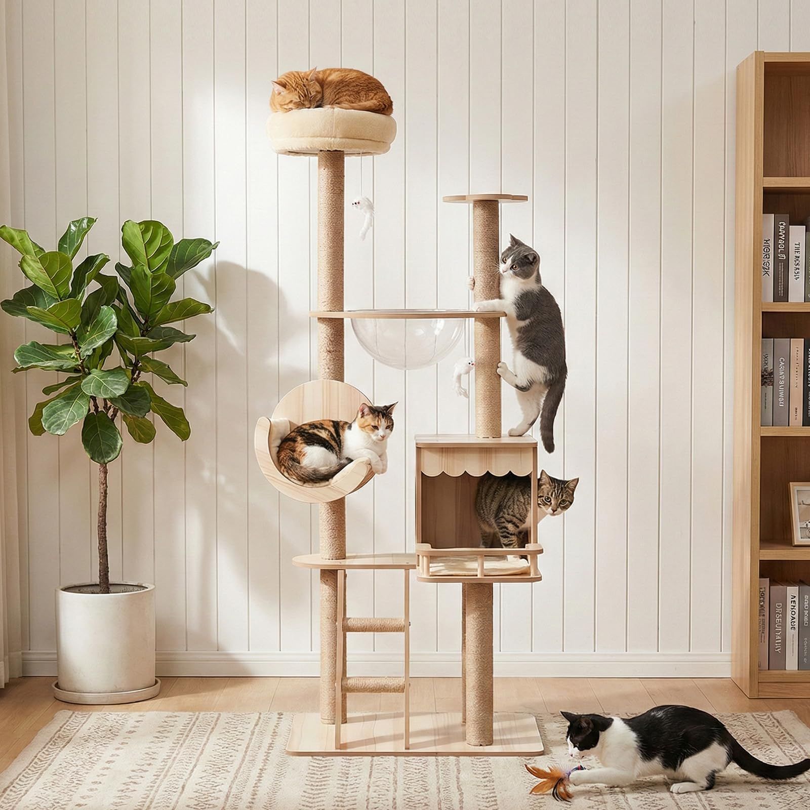 Essgudo キャットタワー 据え置き型 猫タワー 木製 短足猫 透明宇宙船 爪とぎ 突っ張り 多ステップ 階段付き 省スペース 展望台 安定感 運動不足解消 角丸加工 掃除簡単 高さ約155cm