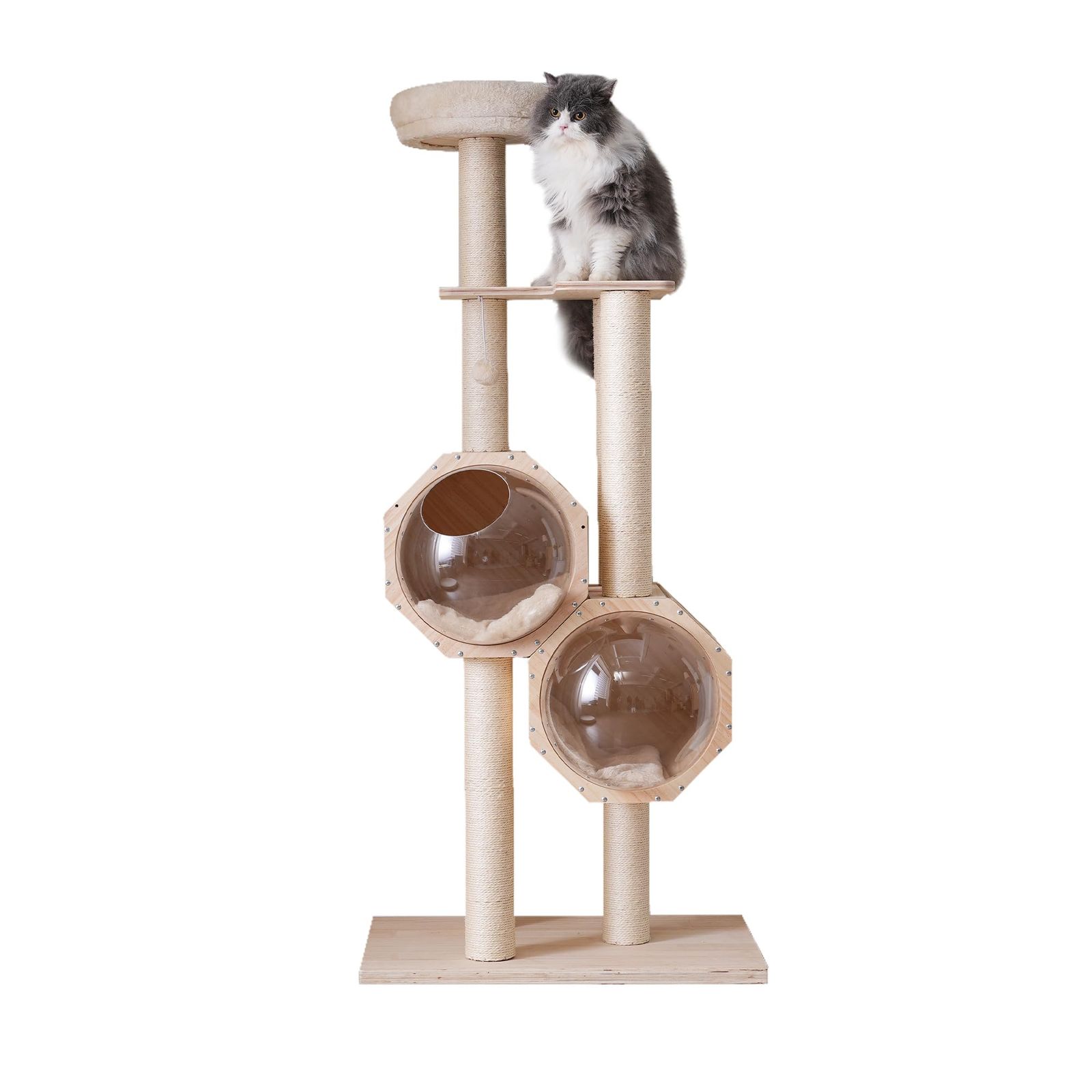 BTM キャットタワー 木製 猫タワー ネコタワー 多頭飼い 大型 高さ152cm 二つ 透明な隠れ家 ポンポンおもちゃ 付き おしゃれ タワー 可愛い 運動不足解消 子猫 大型猫