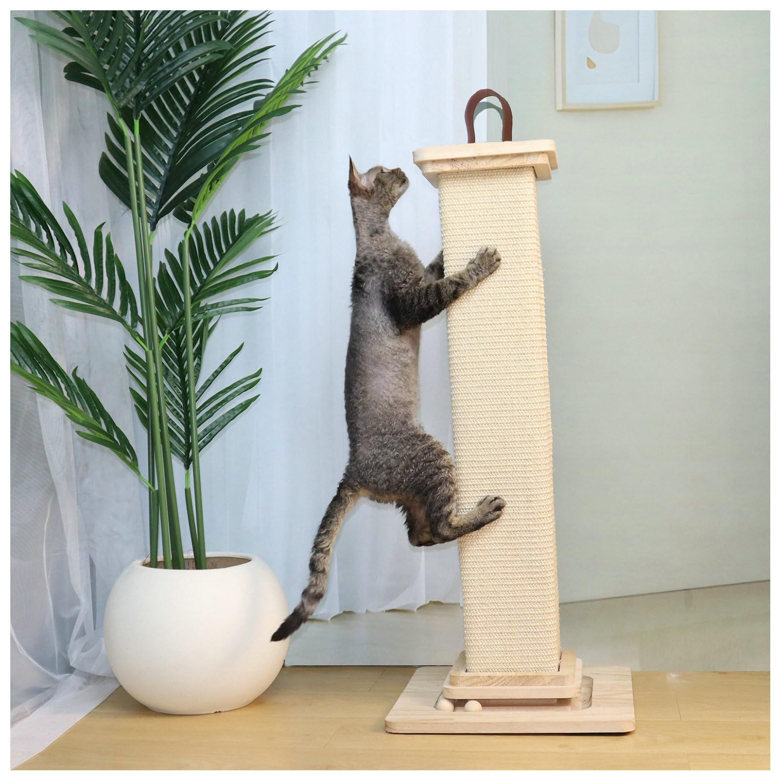 3 of Ni 猫爪研ぎポール 立体型 サイザル麻キャットスクラッチャーポスト 回転ボールとポンポン付き 全麻縄巻き 猫おもちゃ一人遊び ストレス解消 運動室内 寂しさ解消 組み立て簡単 高さ78cm
