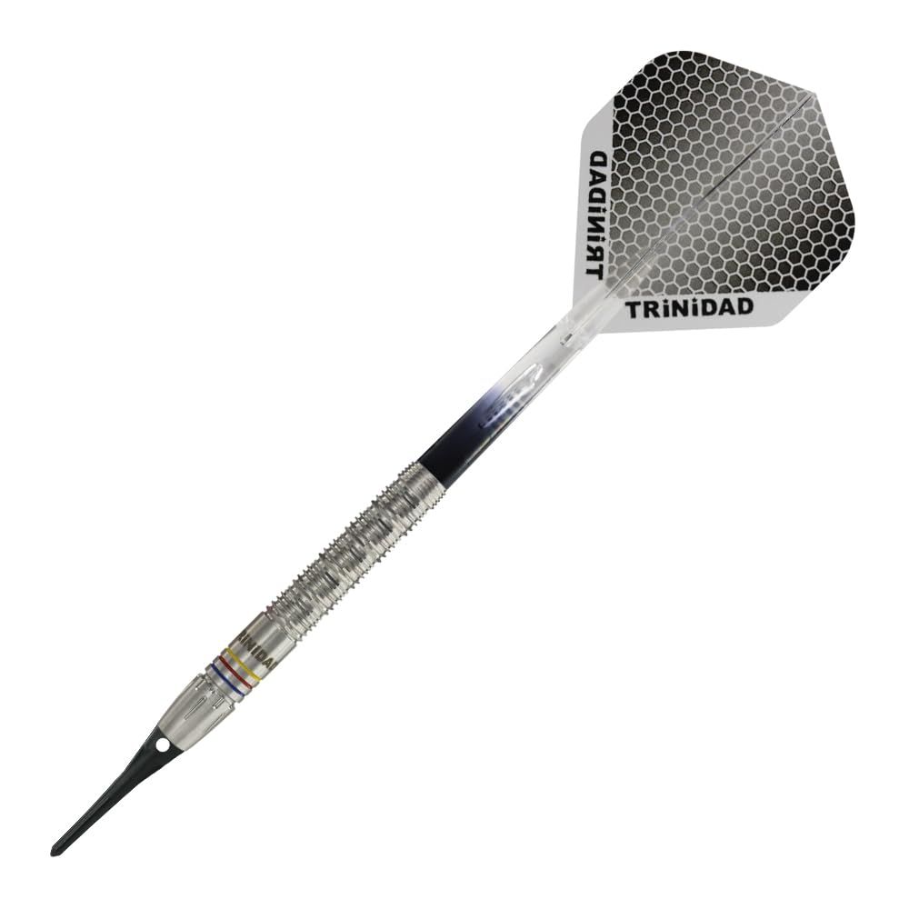 TRiNiDAD PRO Raymond Soft トリニダード プロ レイモンド ダーツ バレル ソフト